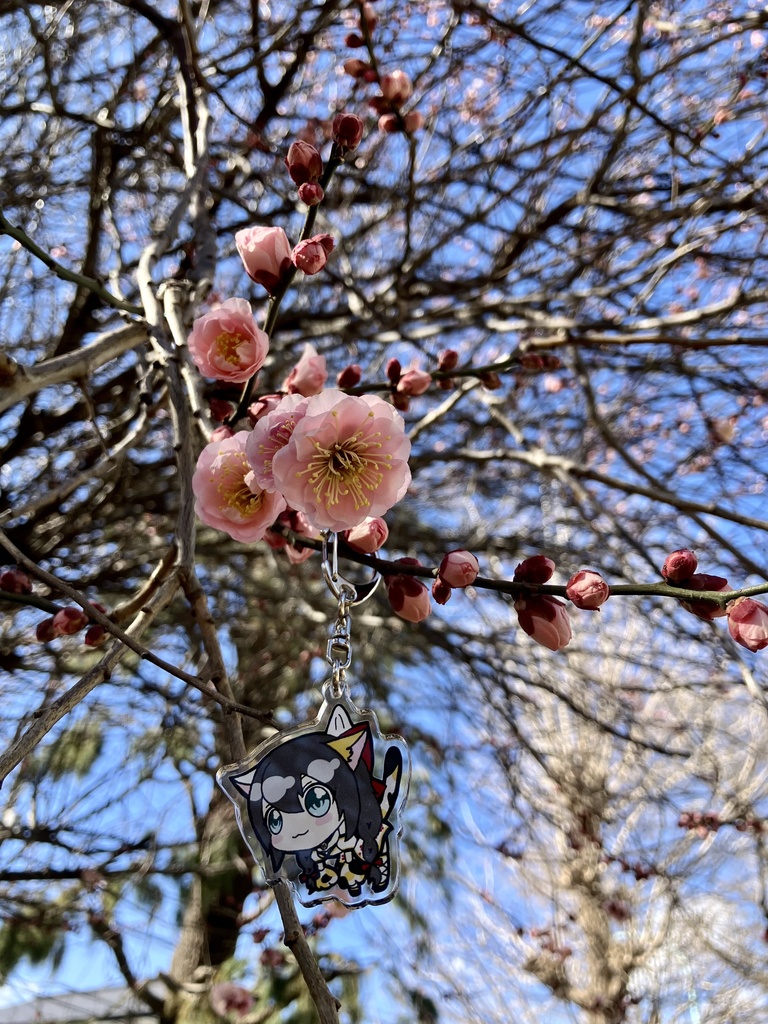 つむぎみけのつままれアクキー