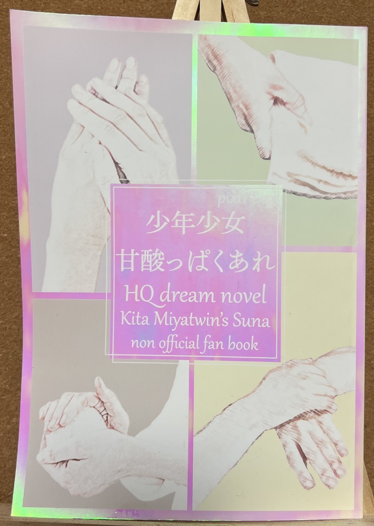 【SCC関西30】夢小説まとめ本「少年少女甘酸っぱくあれ」