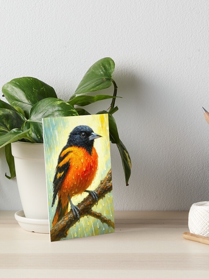 Baltimore Oriole in Rain - Digital Bird Art Print 雨の中の鳥