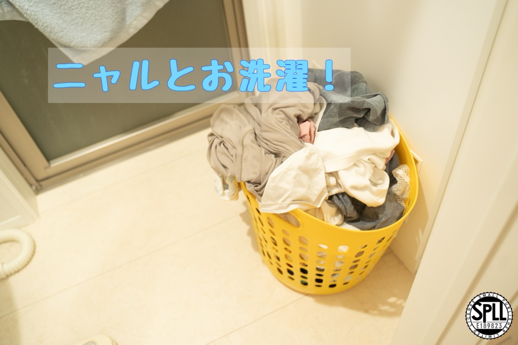 【CoC6】ニャルとお洗濯！SPLL:E189823