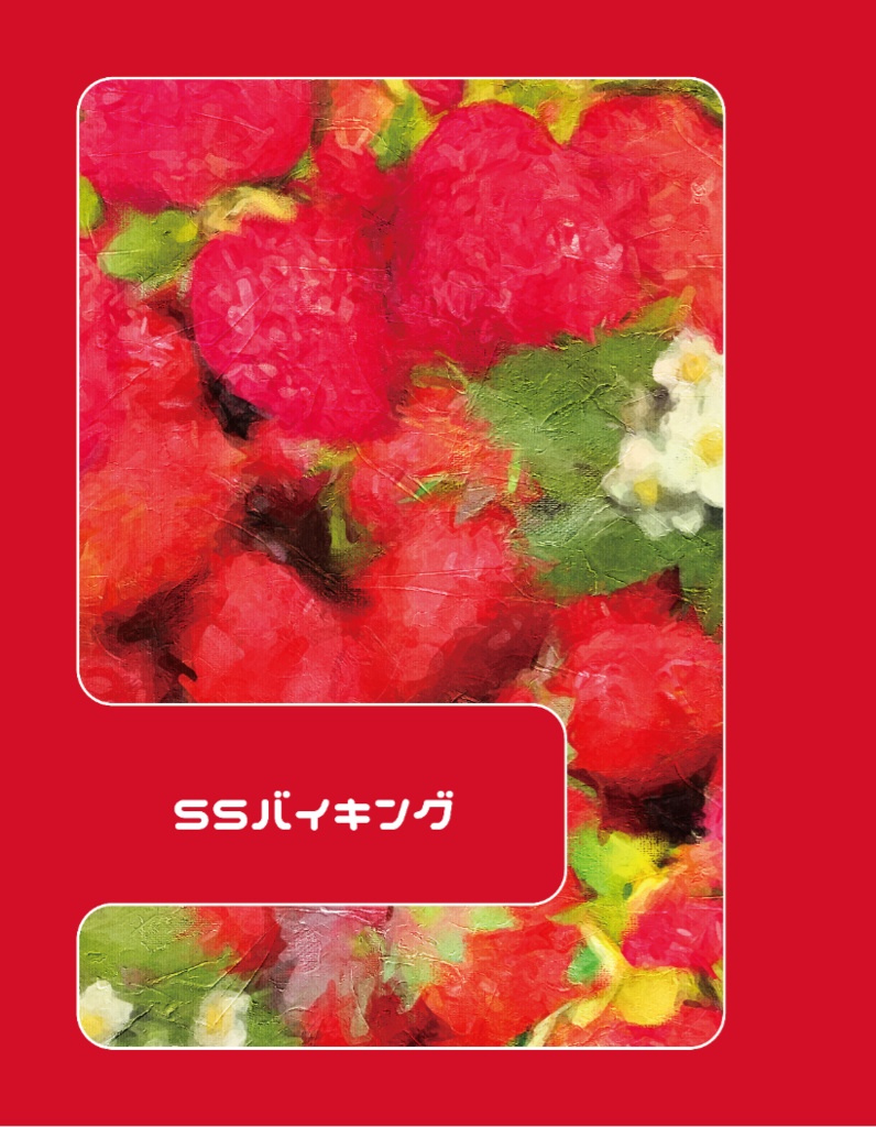 SSバイキング(匿名配送)