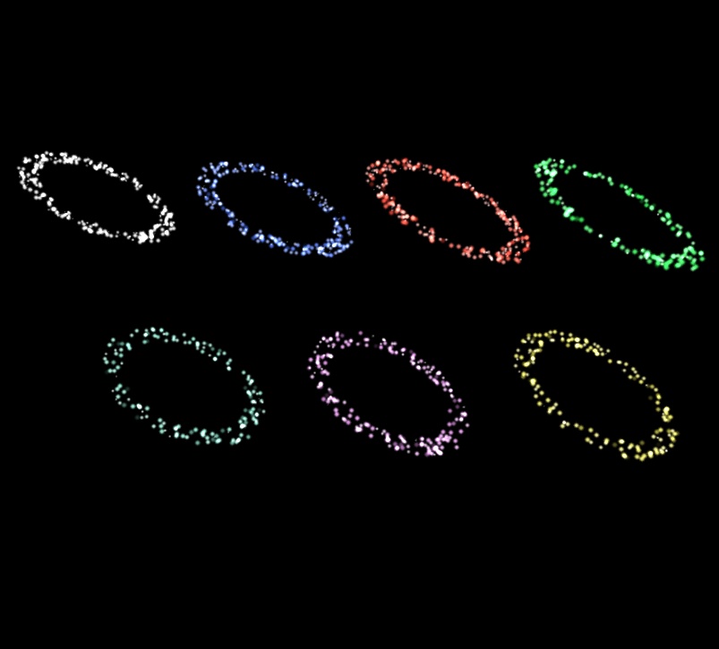 【VRChat想定】パーティクルリング 7色 【Particle Ring】