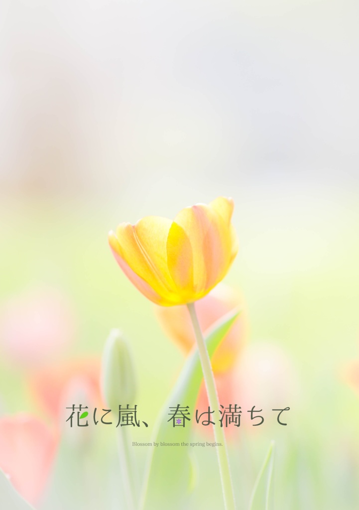 【匿名配送】花に嵐、春に満ちて