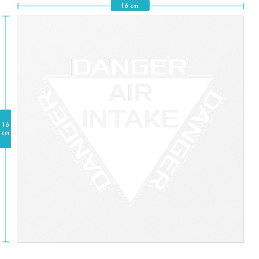 インテークデンジャー