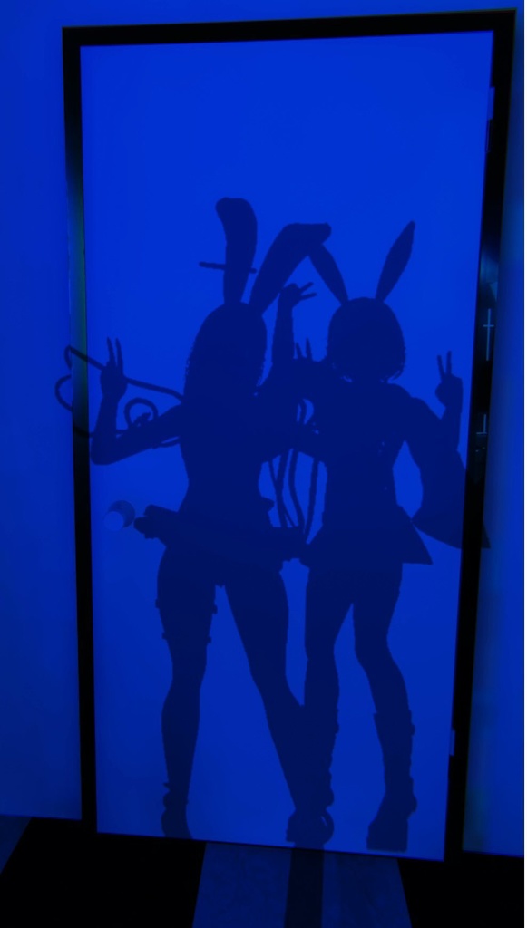 ✨魅せたがりAngelicBunny✨【12アバター対応】