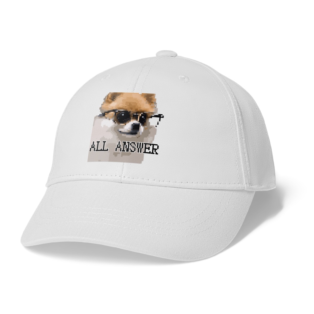 ALL ANSWER CAP