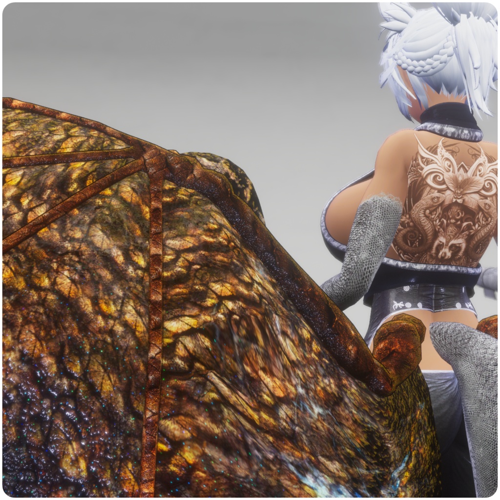 【DragonWingシリーズ】DragonWing_A