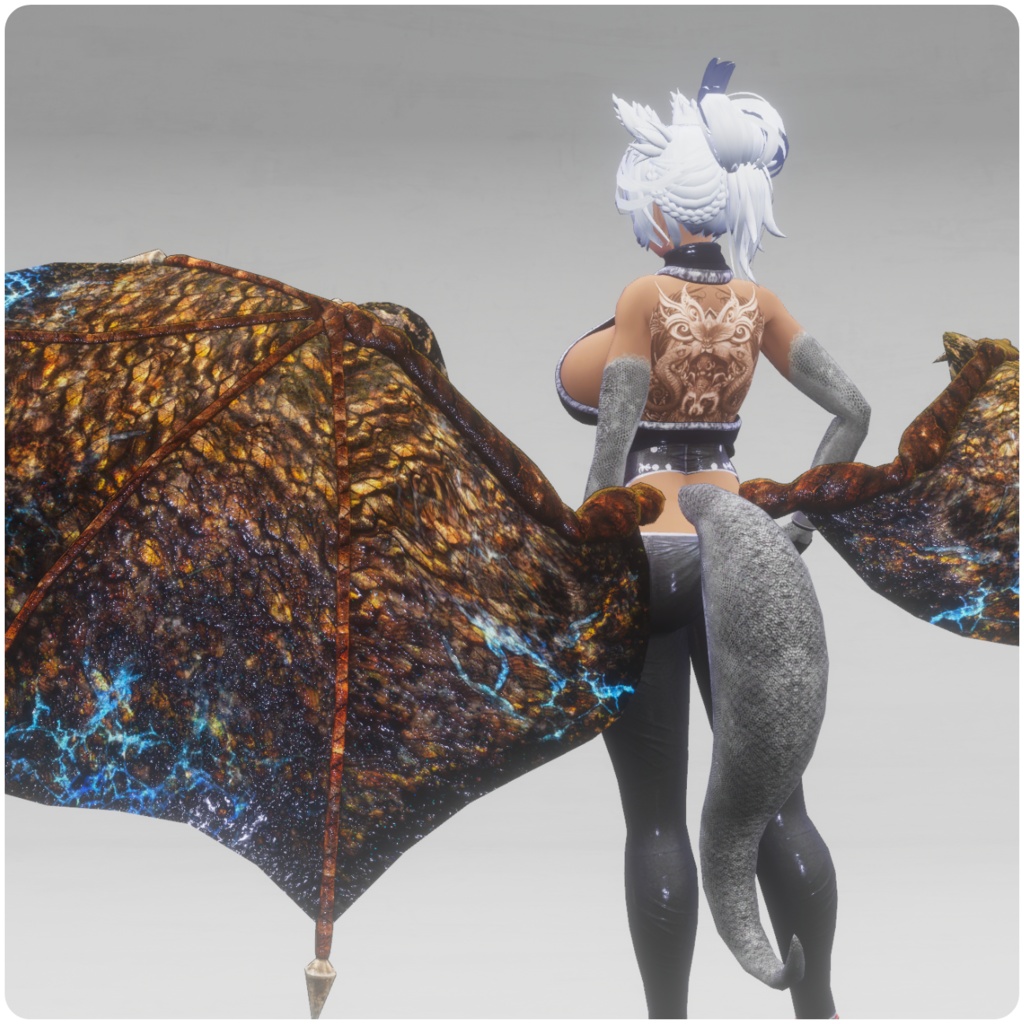 【DragonWingシリーズ】DragonWing_A