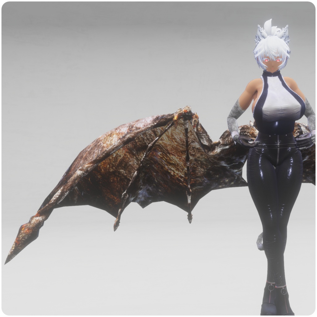 【DragonWingシリーズ】DragonWing_C