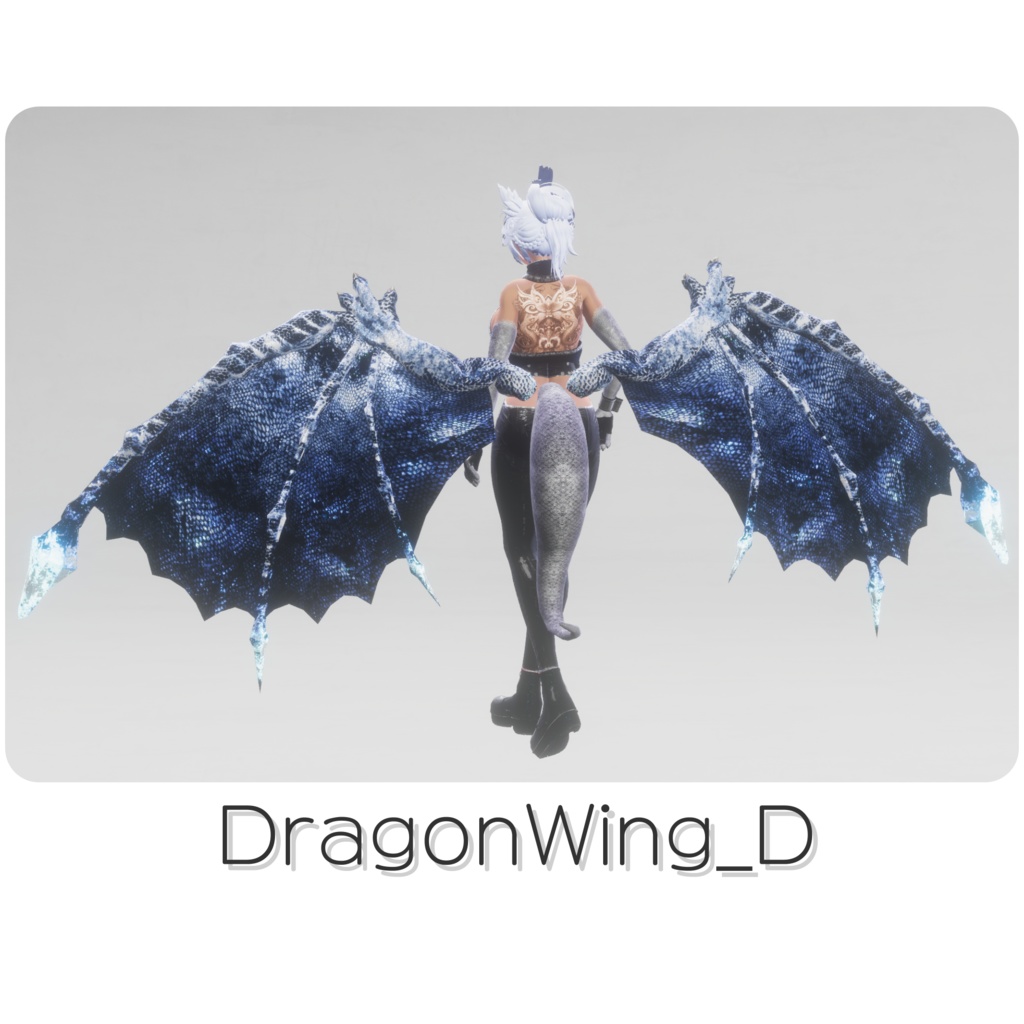 【DragonWingシリーズ】DragonWing_D