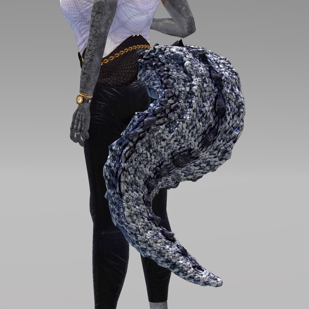 【DragonTailシリーズ】DragonTail_N【3Dモデル衣装・装飾品】