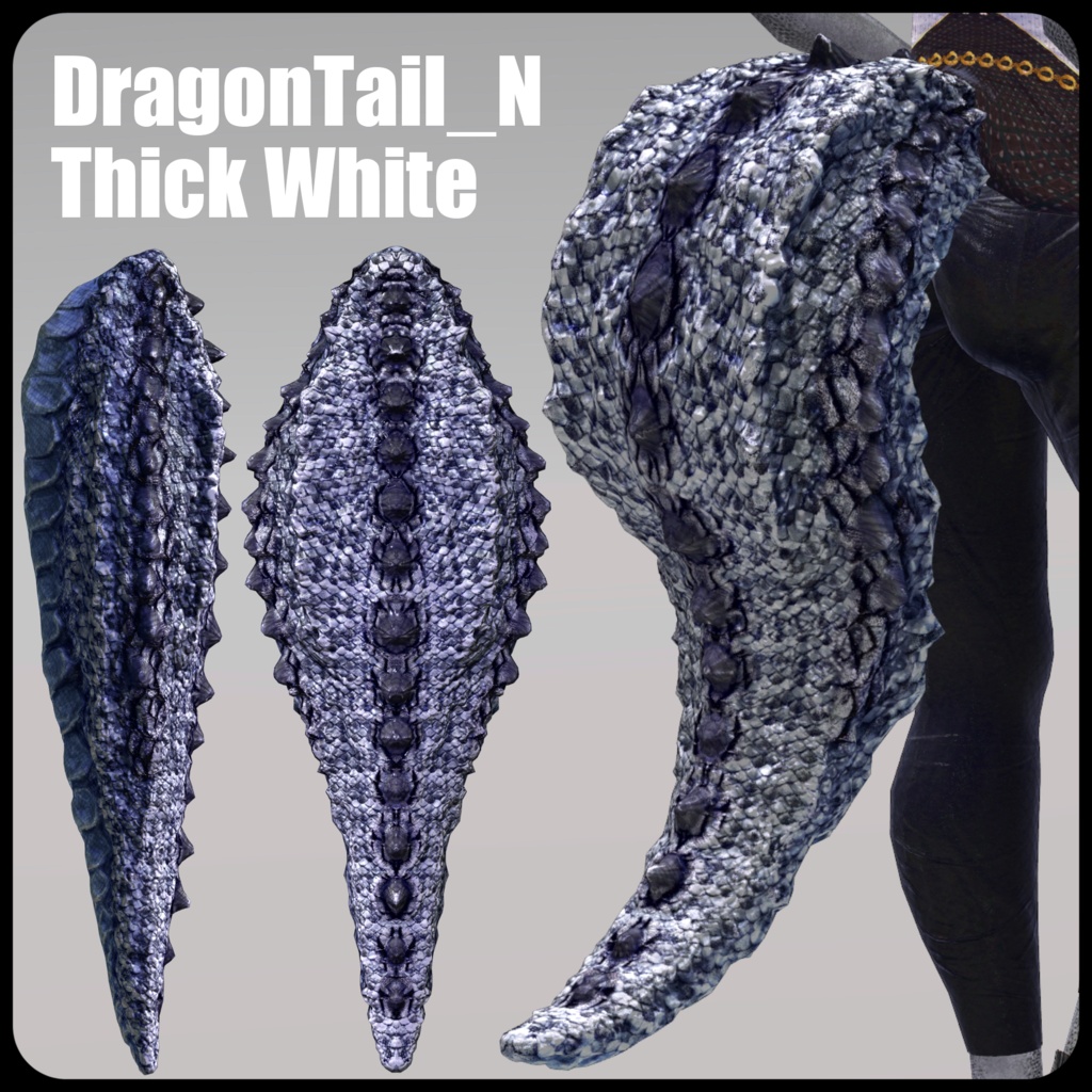 【DragonTailシリーズ】DragonTail_N【3Dモデル衣装・装飾品】