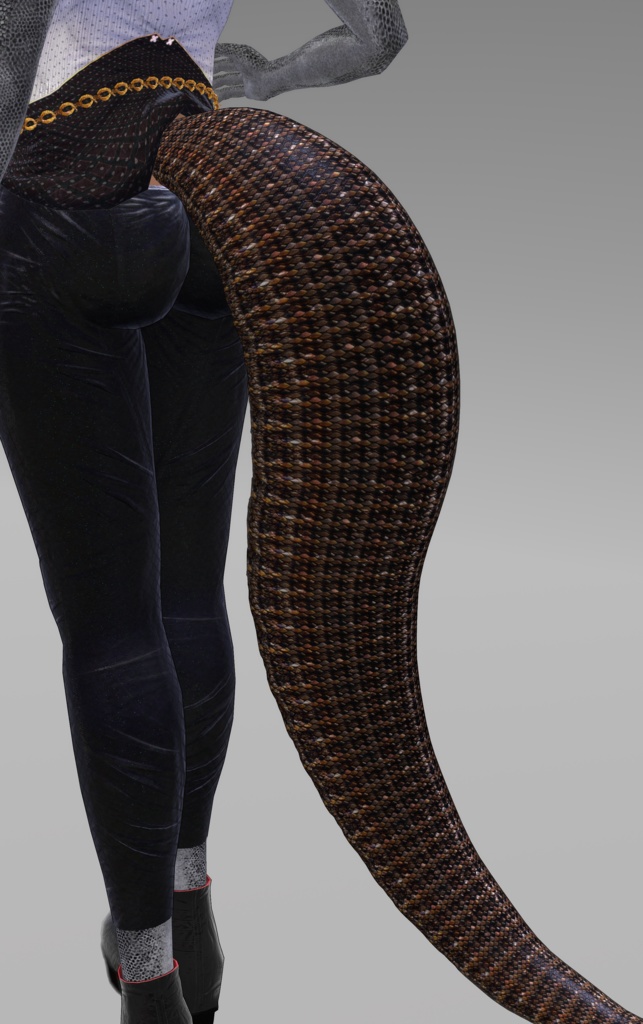 【DragonTailシリーズ】DragonTail_P【3Dモデル衣装・装飾品】