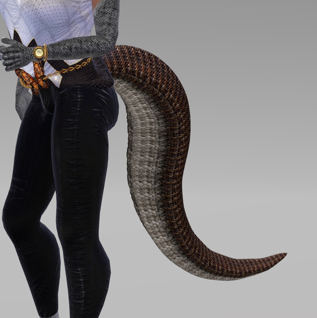 【DragonTailシリーズ】DragonTail_P【3Dモデル衣装・装飾品】