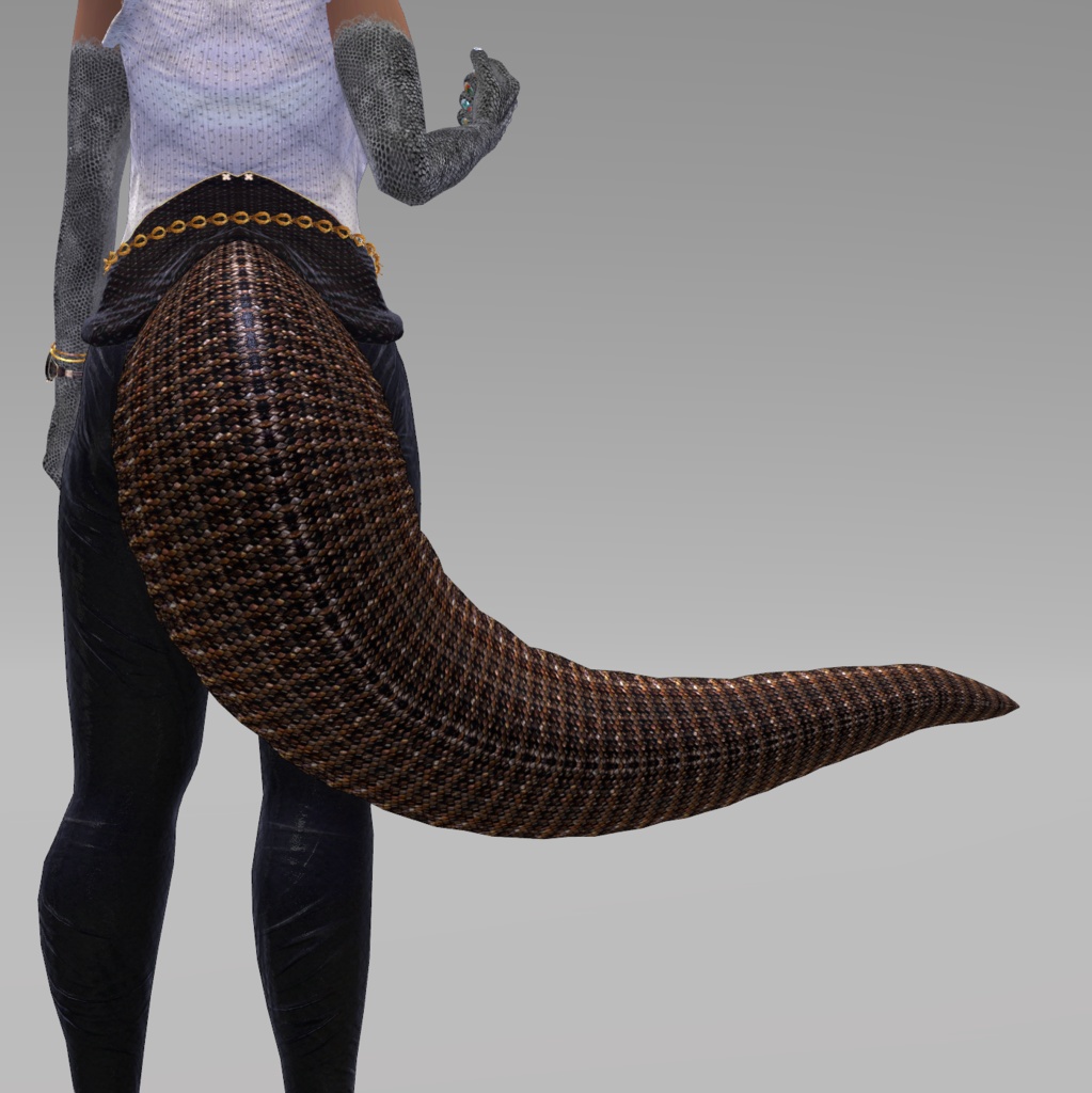 【DragonTailシリーズ】DragonTail_P【3Dモデル衣装・装飾品】