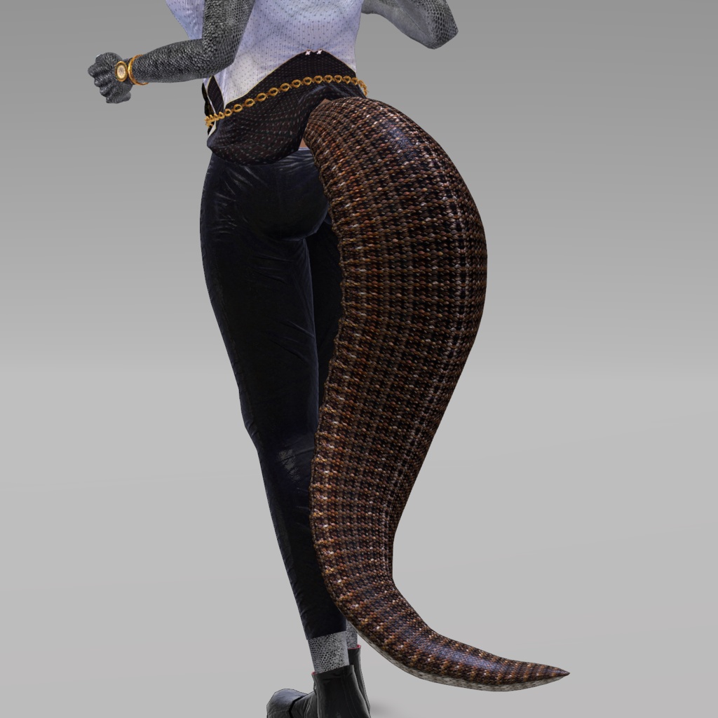 【DragonTailシリーズ】DragonTail_P【3Dモデル衣装・装飾品】