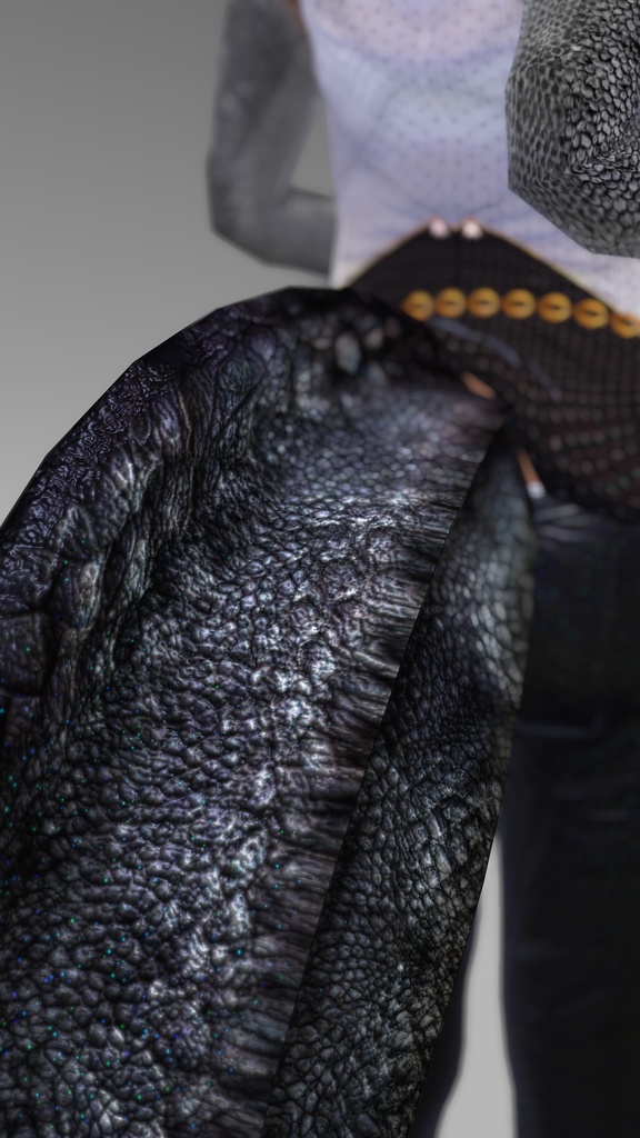 【DragonTailシリーズ】DragonTail_T【3Dモデル衣装・装飾品】