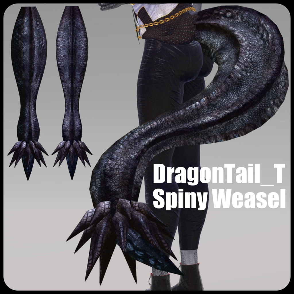【DragonTailシリーズ】DragonTail_T【3Dモデル衣装・装飾品】