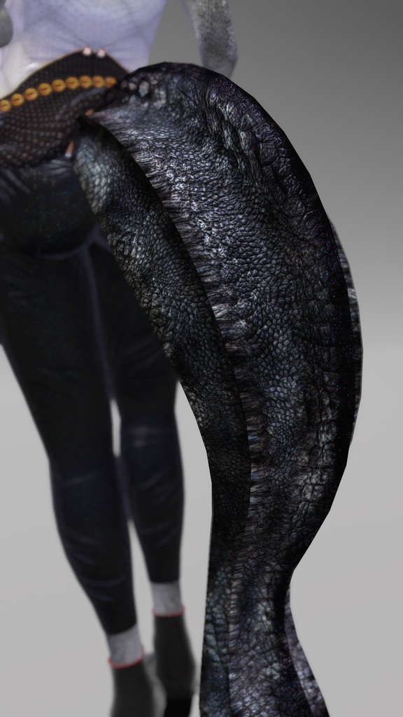 【DragonTailシリーズ】DragonTail_T【3Dモデル衣装・装飾品】