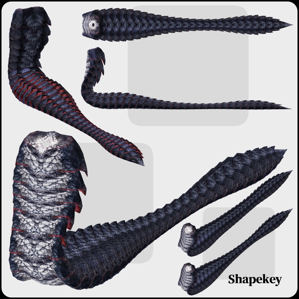 【DragonBodyシリーズ】B_蛇腹竜体+DragonTail_Z【DragonTailシリーズ】