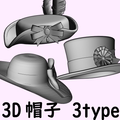 3D帽子 3type