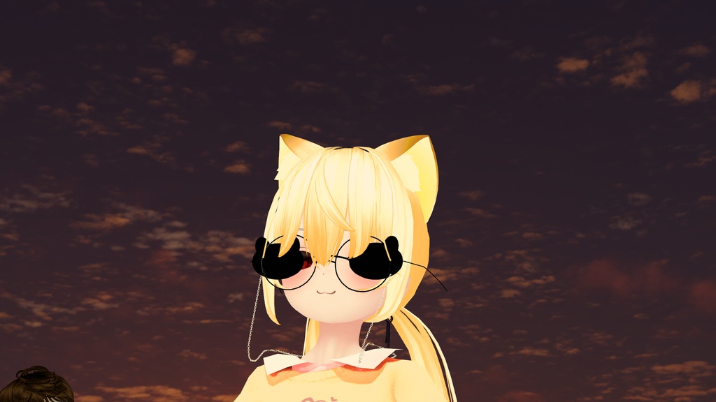 bear glasses 熊のサングラス 眼鏡 4タイプ+