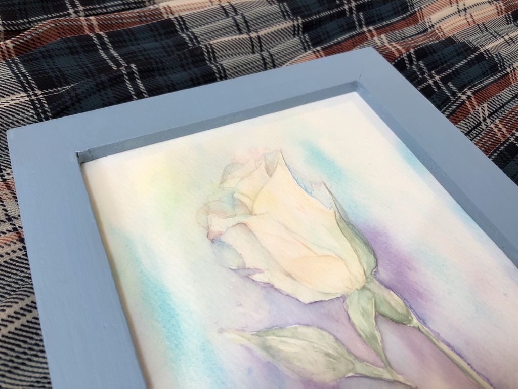 白薔薇の水彩原画