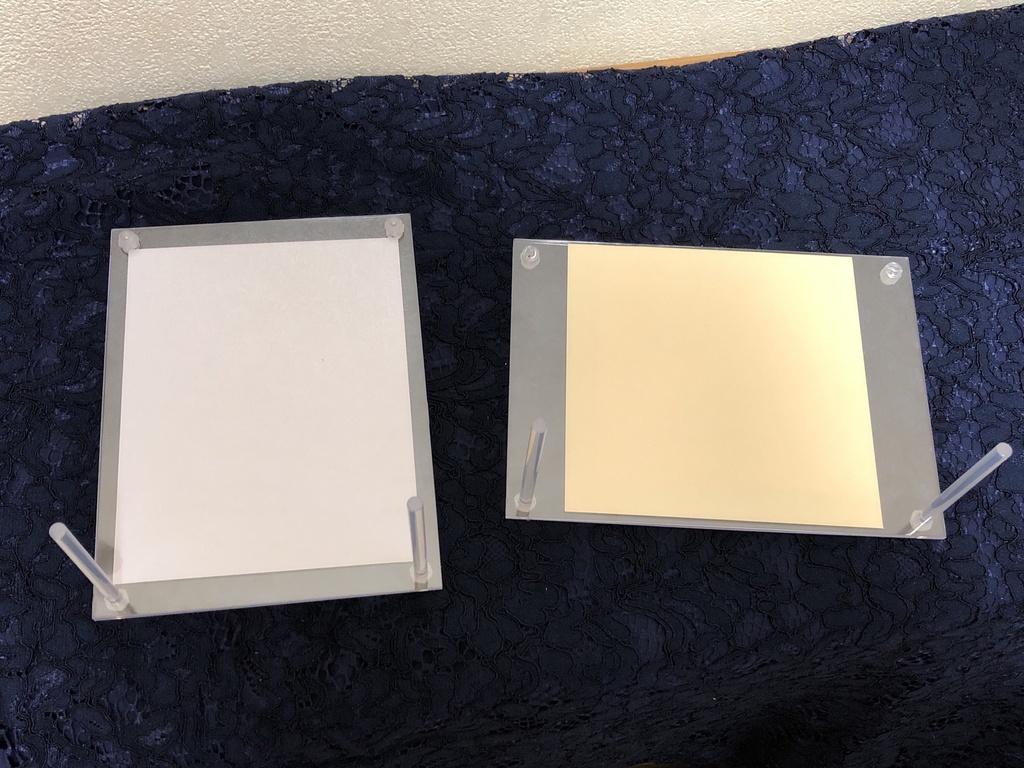 アネモネと薔薇のミニ原画