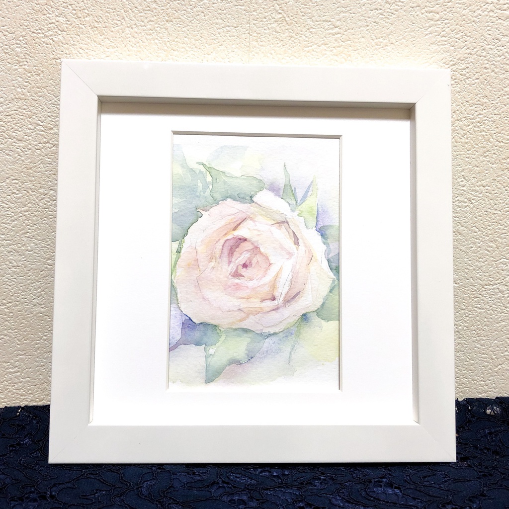 白い薔薇の水彩原画