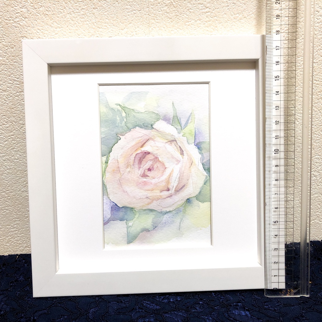 白薔薇の水彩画