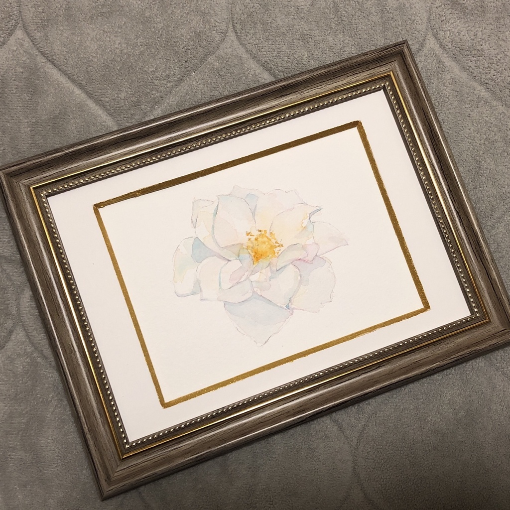 白薔薇の水彩原画