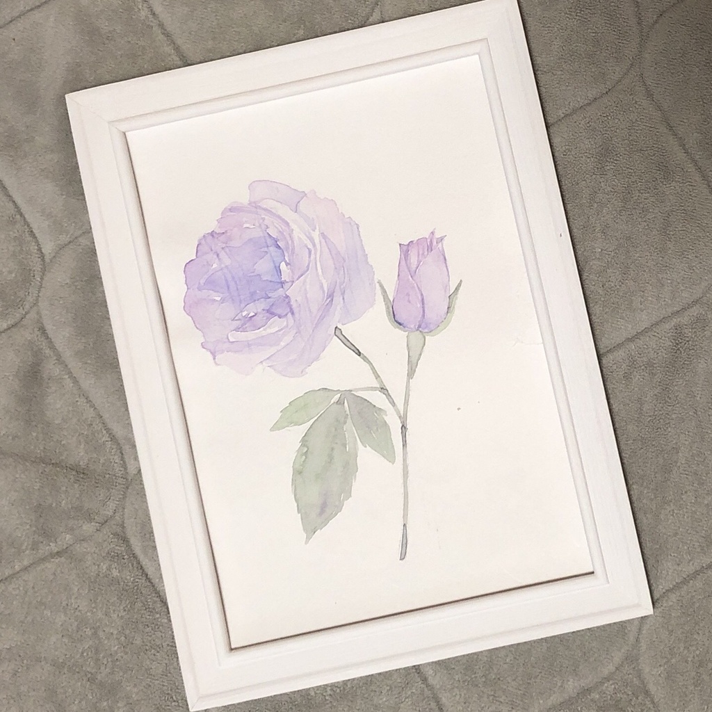 紫の薔薇の水彩原画
