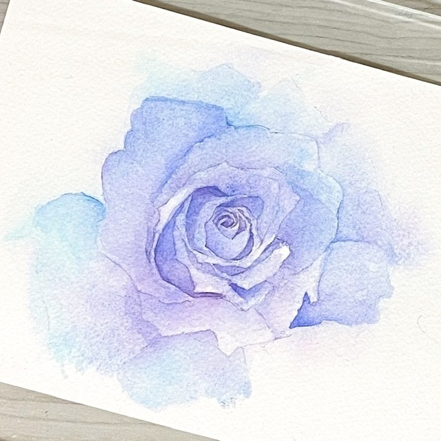 青薔薇の水彩原画