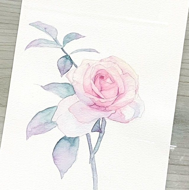 453＊ピンクのバラ　水彩画　原画　透明水彩　F4