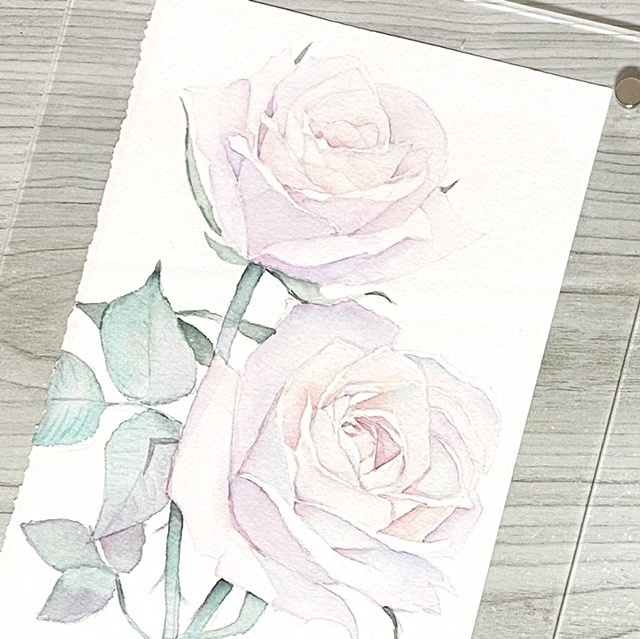 白薔薇の水彩原画