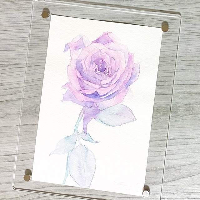 水彩画 原画 桃薔薇 水彩画 原画 白い薔薇2905（額縁つき - ATELIER KMICHE | minne