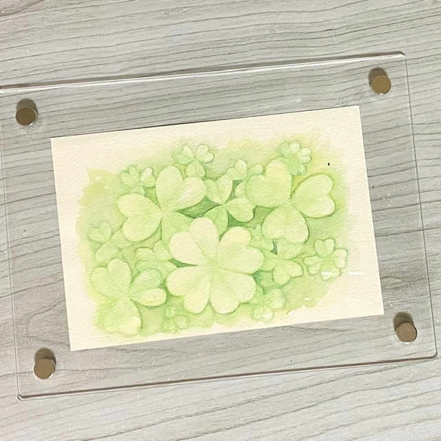 クローバーの水彩原画