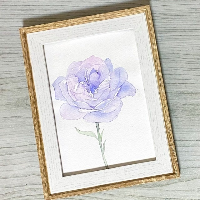 紫の薔薇の水彩原画