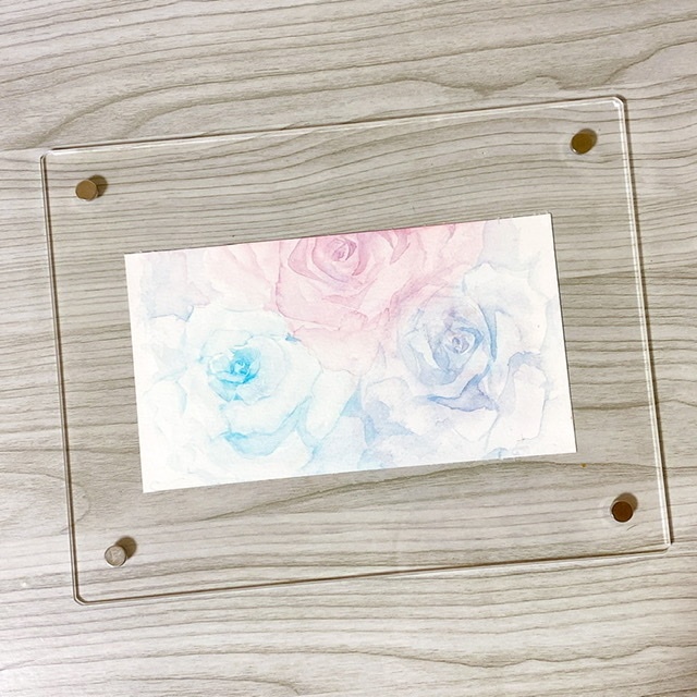 優しい薔薇の水彩原画