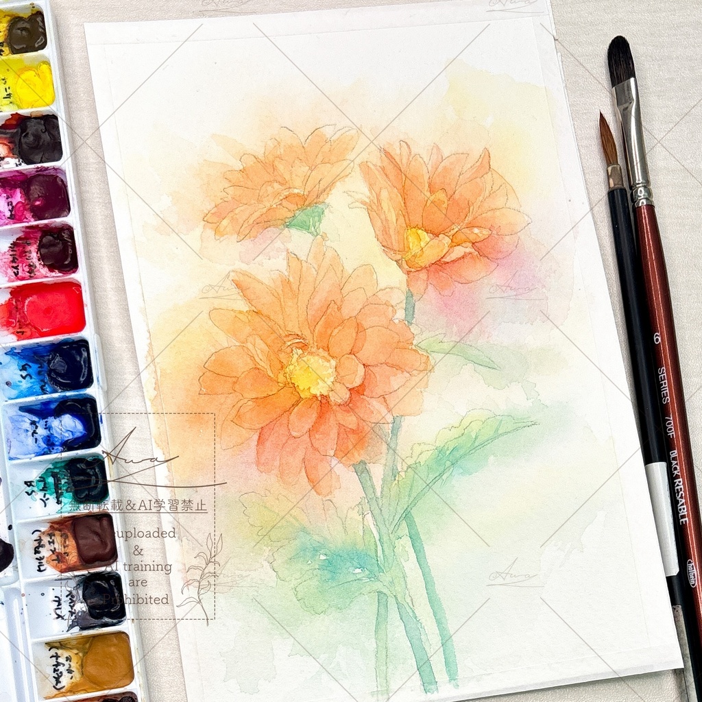 ふんわりオレンジの洋菊原画