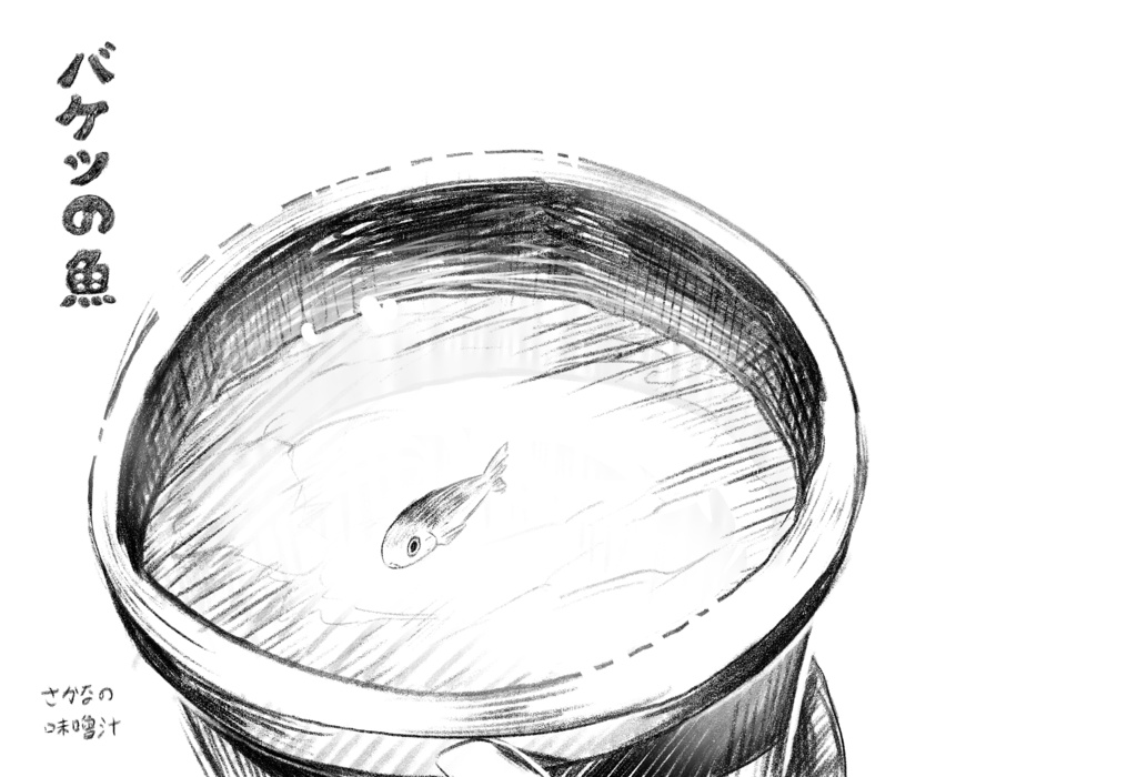 バケツの魚