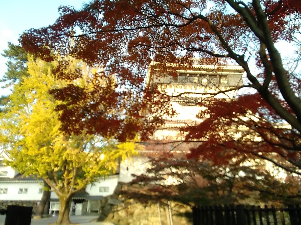 秋の小倉城
