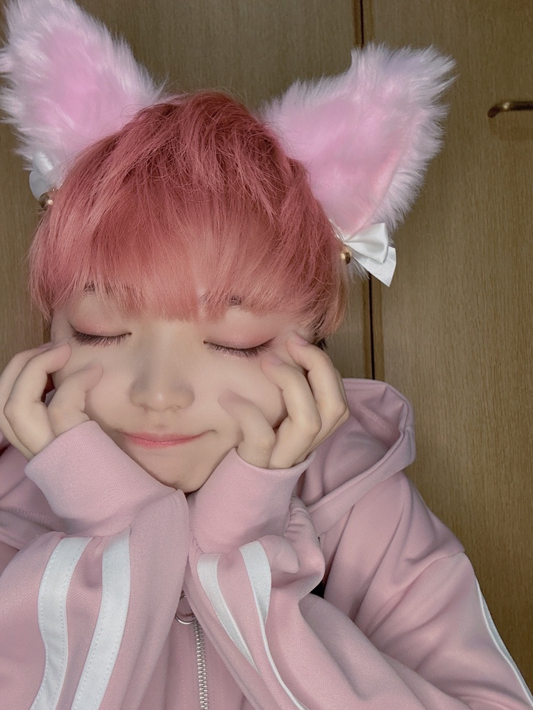 猫耳 ブロマイド