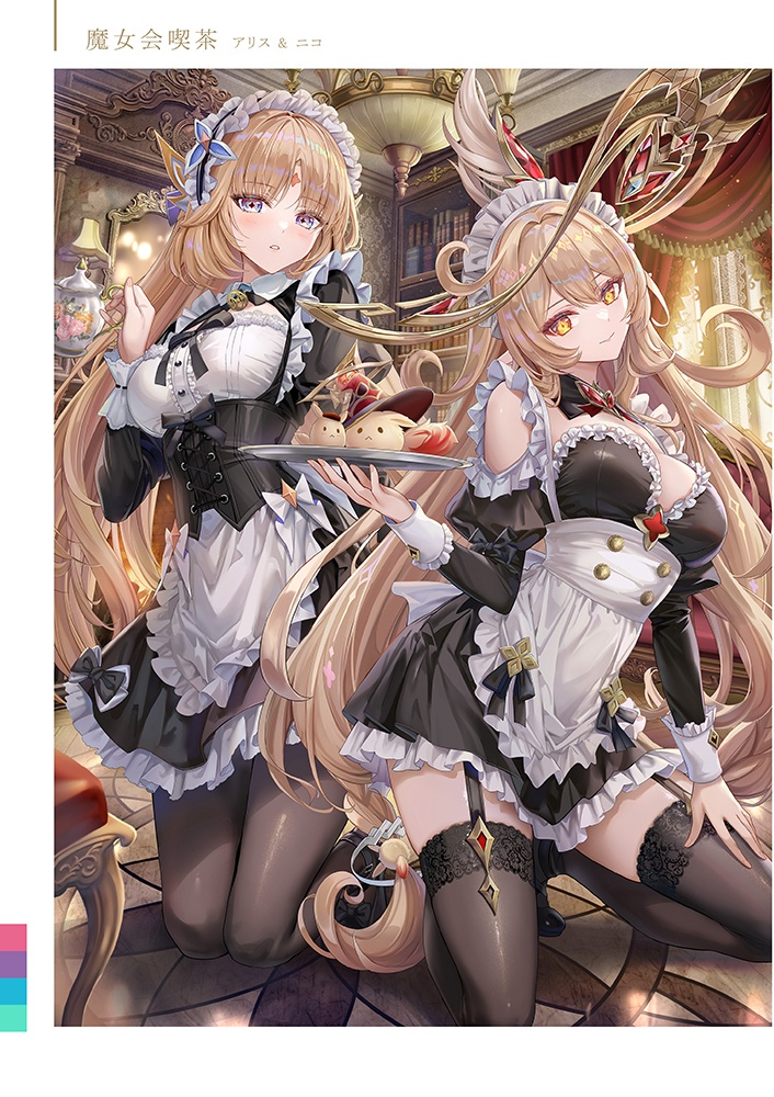 TORINOTE III フルカラーイラスト集