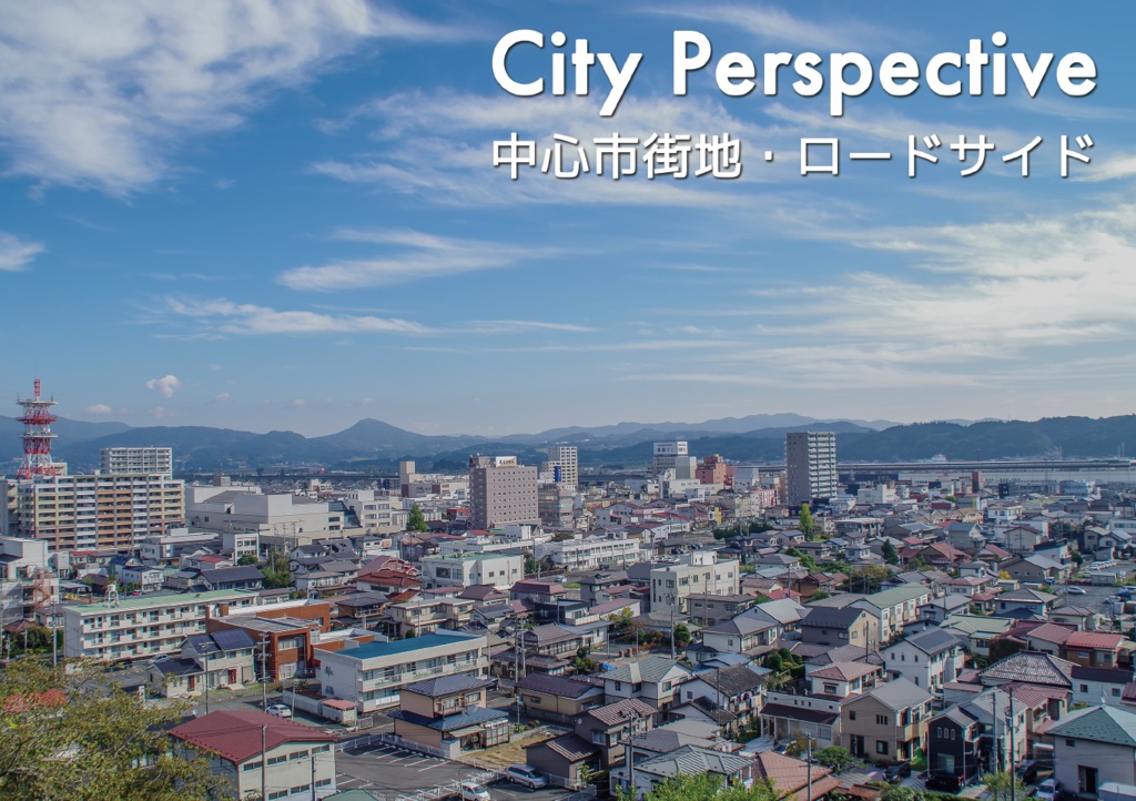 City Perspective