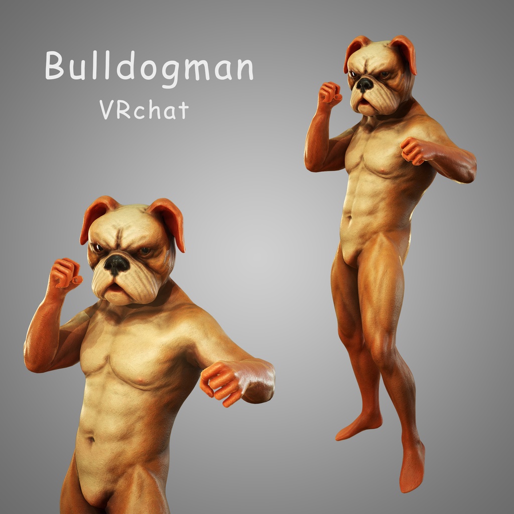 3Dモデル ブルドッグ