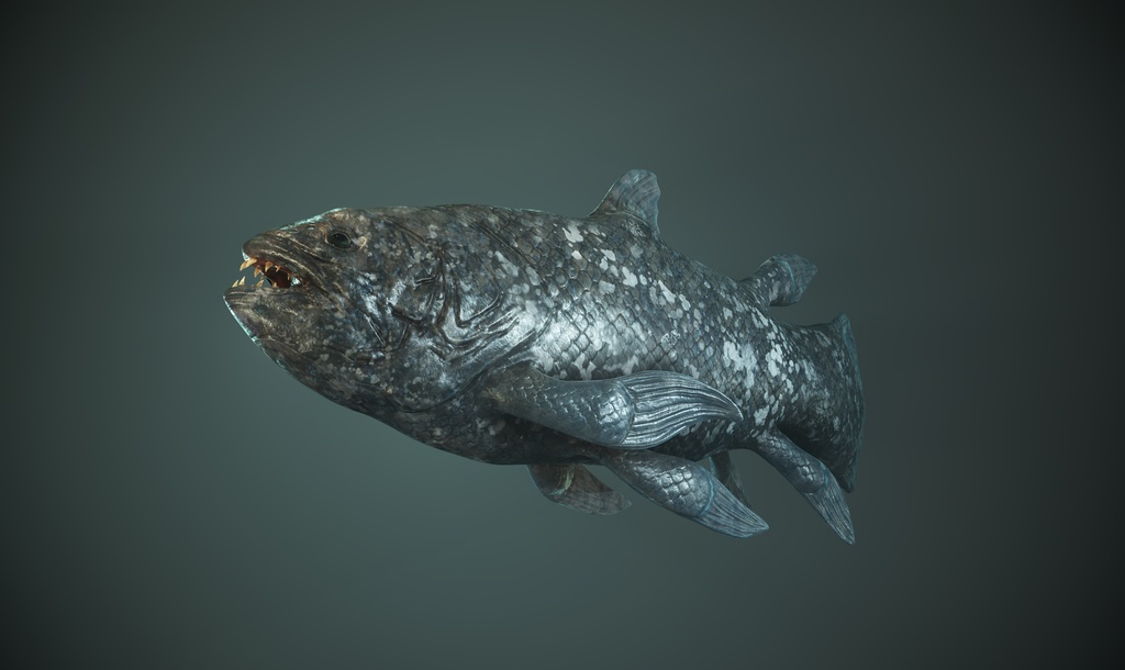 3Dモデル シーラカンス