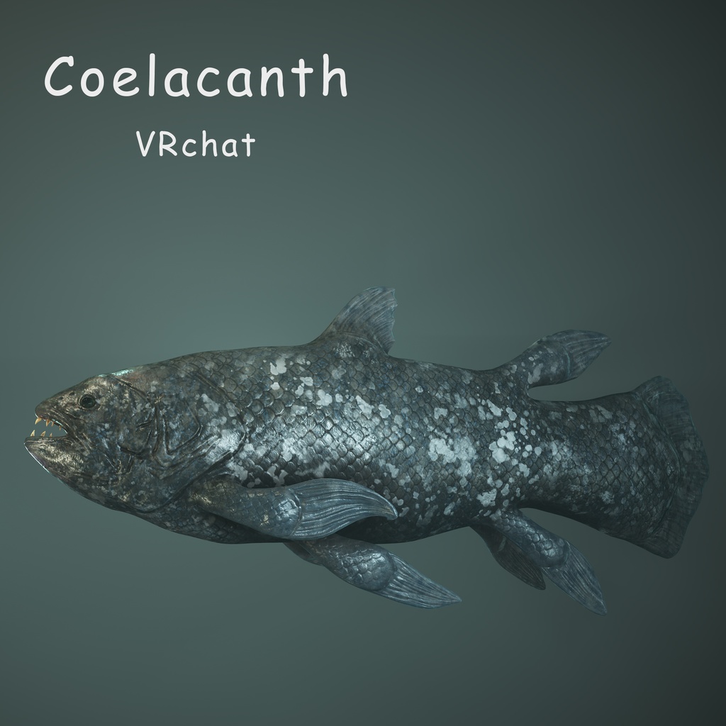 3Dモデル シーラカンス