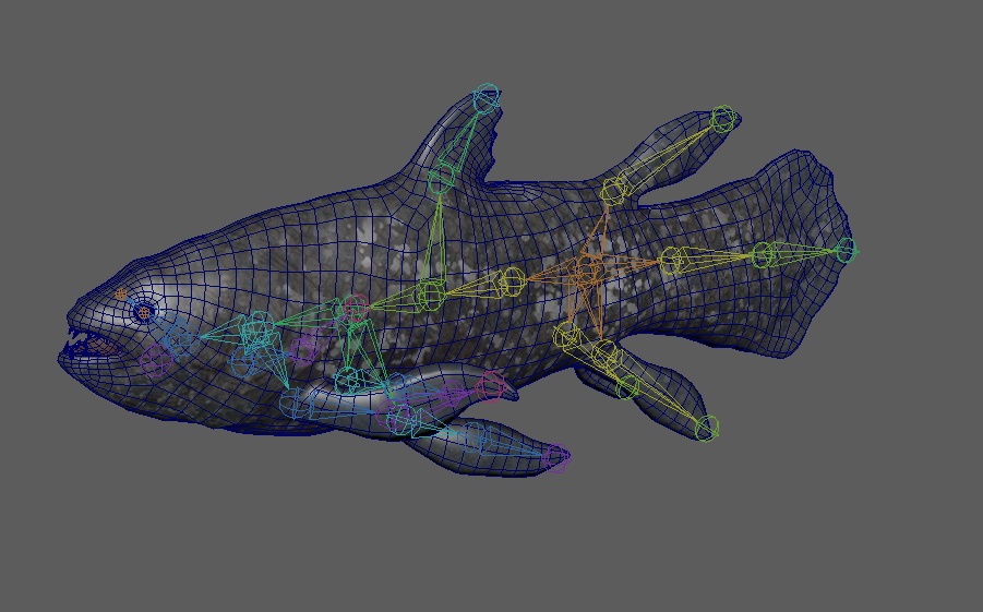 3Dモデル シーラカンス