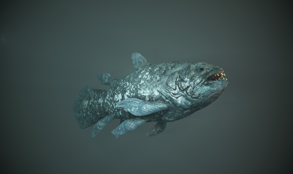 3Dモデル シーラカンス